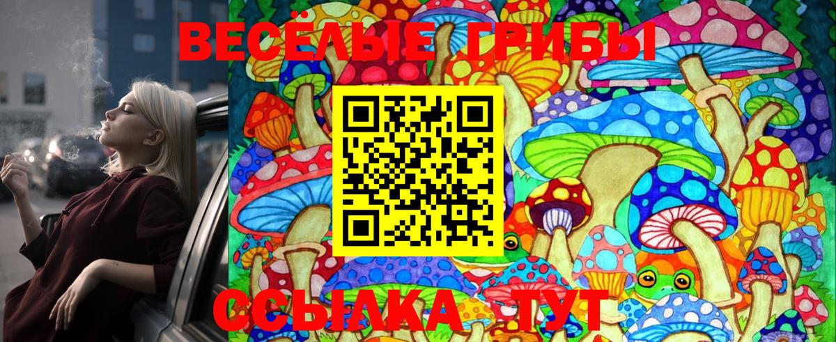 Псилоцибиновые грибы Psilocybine cubensis  Вход с VPN  Псилоцибиновые грибы Cubensis  Сокол 