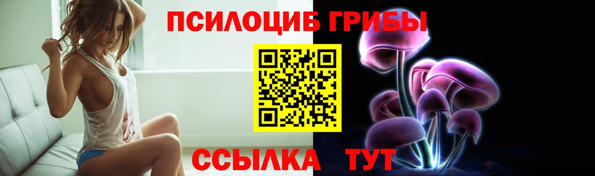 Галлюциногенные грибы Psilocybine cubensis Сокол